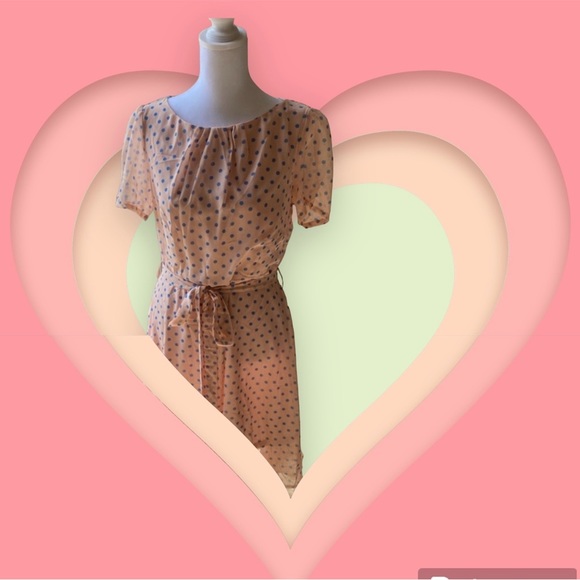 NWT Women’s Meaneor short sleeve dress size Large - Picture 2 of 6